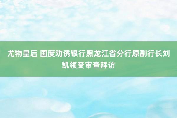 尤物皇后 国度劝诱银行黑龙江省分行原副行长刘凯领受审查拜访