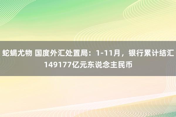 蛇蝎尤物 国度外汇处置局：1-11月，银行累计结汇149177亿元东说念主民币