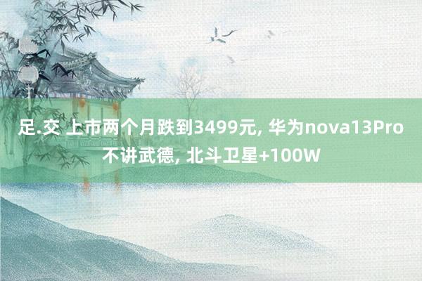 足.交 上市两个月跌到3499元， 华为nova13Pro不讲武德， 北斗卫星+100W