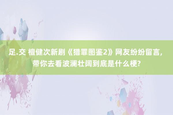 足.交 檀健次新剧《猎罪图鉴2》网友纷纷留言， 带你去看波澜壮阔到底是什么梗?