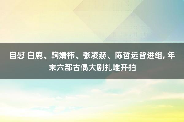 自慰 白鹿、鞠婧祎、张凌赫、陈哲远皆进组， 年末六部古偶大剧扎堆开拍