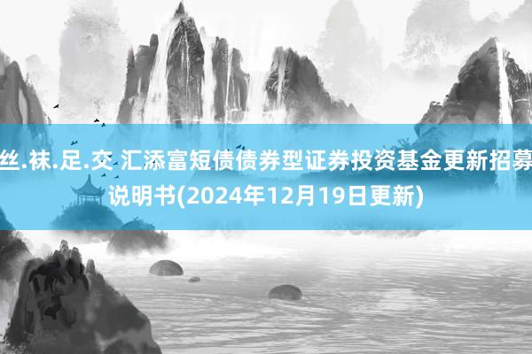 丝.袜.足.交 汇添富短债债券型证券投资基金更新招募说明书(2024年12月19日更新)