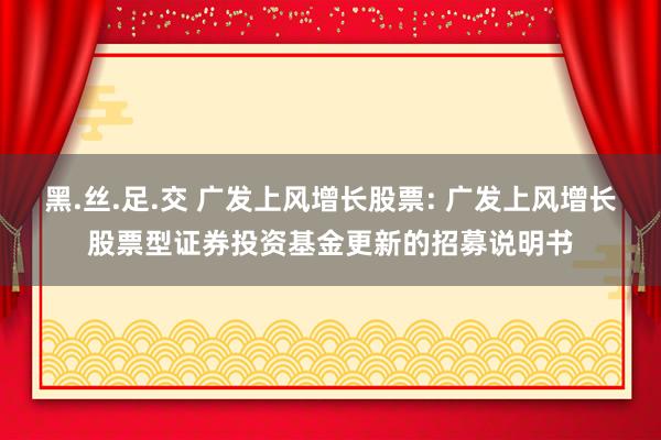 黑.丝.足.交 广发上风增长股票: 广发上风增长股票型证券投资基金更新的招募说明书