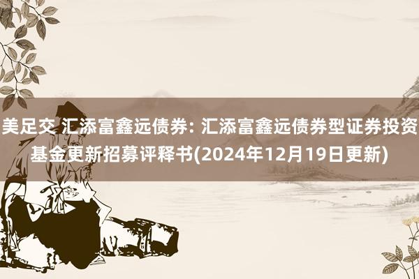 美足交 汇添富鑫远债券: 汇添富鑫远债券型证券投资基金更新招募评释书(2024年12月19日更新)