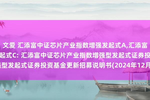 文爱 汇添富中证芯片产业指数增强发起式A，汇添富中证芯片产业指数增强发起式C: 汇添富中证芯片产业指数增强型发起式证券投资基金更新招募说明书(2024年12月19日更新)