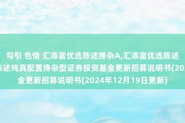 勾引 色情 汇添富优选陈述搀杂A，汇添富优选陈述搀杂C: 汇添富优选陈述纯真配置搀杂型证券投资基金更新招募说明书(2024年12月19日更新)