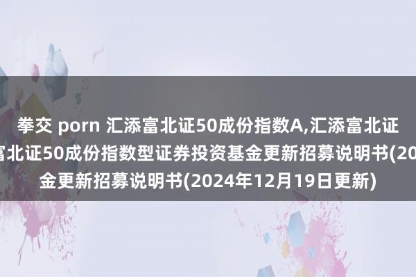 拳交 porn 汇添富北证50成份指数A，汇添富北证50成份指数C: 汇添富北证50成份指数型证券投资基金更新招募说明书(2024年12月19日更新)