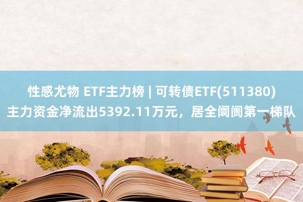 性感尤物 ETF主力榜 | 可转债ETF(511380)主力资金净流出5392.11万元，居全阛阓第一梯队