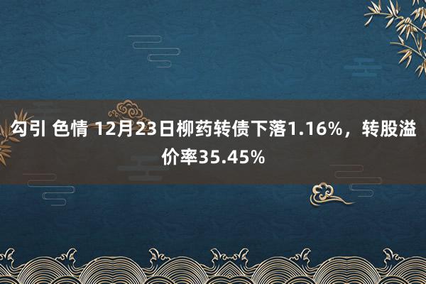 勾引 色情 12月23日柳药转债下落1.16%，转股溢价率35.45%