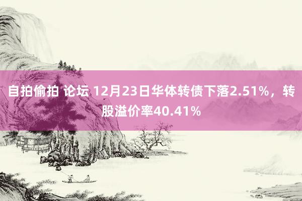 自拍偷拍 论坛 12月23日华体转债下落2.51%，转股溢价率40.41%