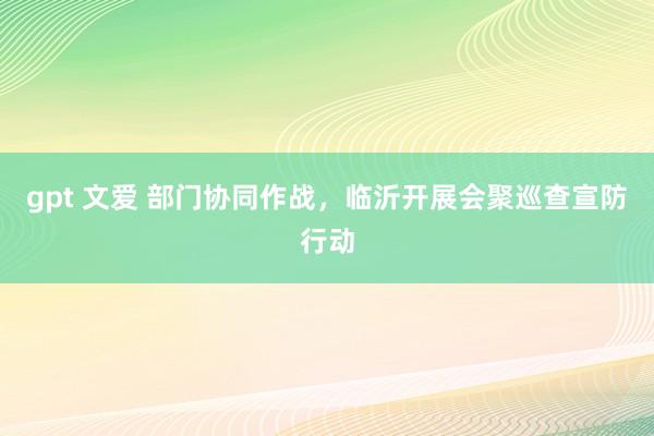 gpt 文爱 部门协同作战，临沂开展会聚巡查宣防行动