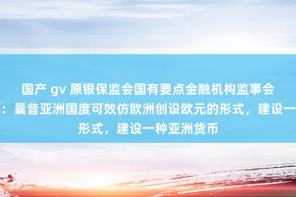 国产 gv 原银保监会国有要点金融机构监事会主席于学军：曩昔亚洲国度可效仿欧洲创设欧元的形式，建设一种亚洲货币