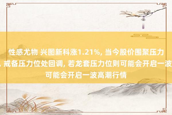 性感尤物 兴图新科涨1.21%， 当今股价围聚压力位16.58， 戒备压力位处回调， 若龙套压力位则可能会开启一波高潮行情