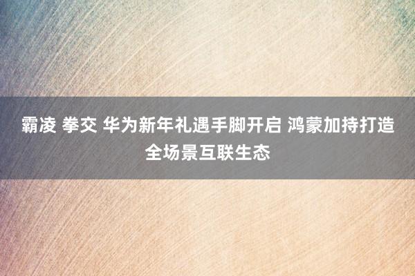 霸凌 拳交 华为新年礼遇手脚开启 鸿蒙加持打造全场景互联生态