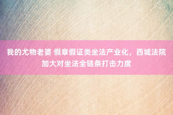 我的尤物老婆 假章假证类坐法产业化，西城法院加大对坐法全链条打击力度