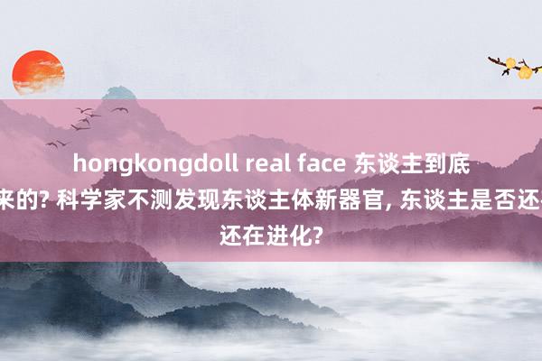 hongkongdoll real face 东谈主到底是怎么来的? 科学家不测发现东谈主体新器官， 东谈主是否还在进化?