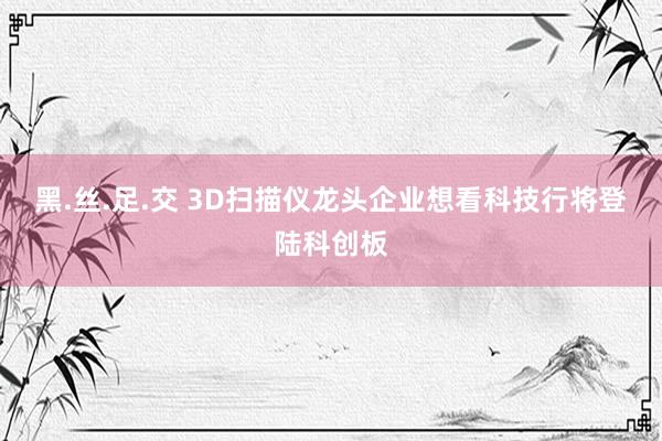 黑.丝.足.交 3D扫描仪龙头企业想看科技行将登陆科创板