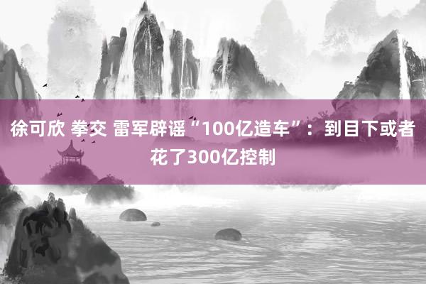 徐可欣 拳交 雷军辟谣“100亿造车”：到目下或者花了300亿控制