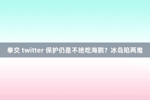 拳交 twitter 保护仍是不绝吃海鹦？冰岛陷两难