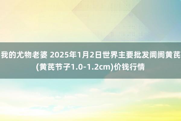 我的尤物老婆 2025年1月2日世界主要批发阛阓黄芪(黄芪节子1.0-1.2cm)价钱行情