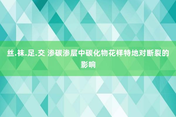 丝.袜.足.交 渗碳渗层中碳化物花样特地对断裂的影响