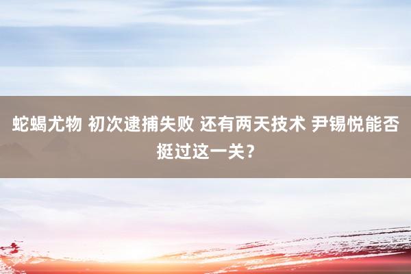 蛇蝎尤物 初次逮捕失败 还有两天技术 尹锡悦能否挺过这一关？