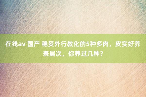 在线av 国产 稳妥外行教化的5种多肉，皮实好养表层次，你养过几种？