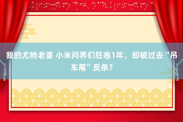 我的尤物老婆 小米问界们狂卷1年，却被过去“吊车尾”反杀？