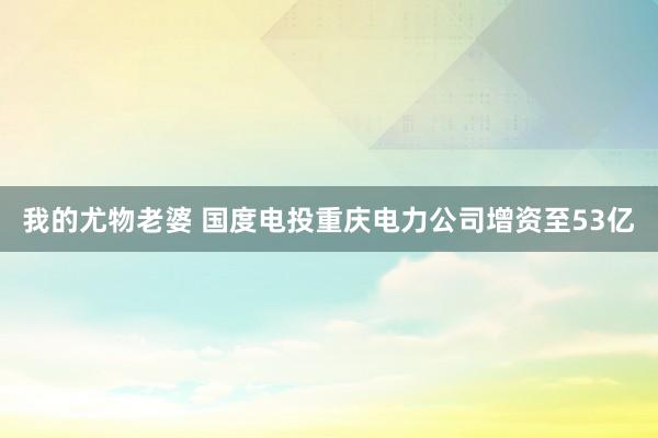 我的尤物老婆 国度电投重庆电力公司增资至53亿