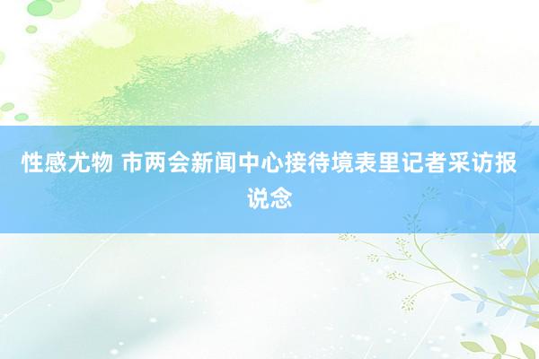 性感尤物 市两会新闻中心接待境表里记者采访报说念