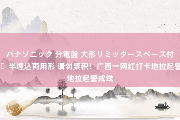 パナソニック 分電盤 大形リミッタースペース付 露出・半埋込両用形 请勿聚积！广西一网红打卡地拉起警戒线