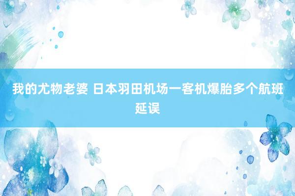 我的尤物老婆 日本羽田机场一客机爆胎　多个航班延误