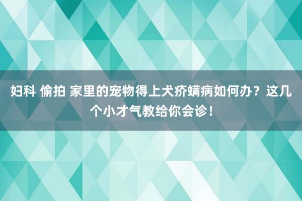 妇科 偷拍 家里的宠物得上犬疥螨病如何办？这几个小才气教给你会诊！