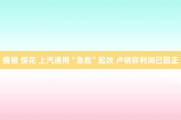 瘦猴 探花 上汽通用“急救”起效 卢晓称利润已回正