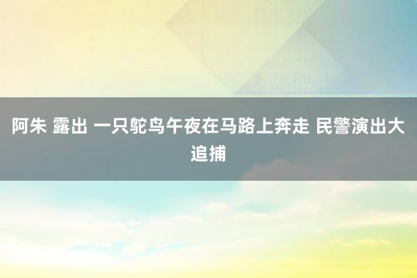 阿朱 露出 一只鸵鸟午夜在马路上奔走 民警演出大追捕