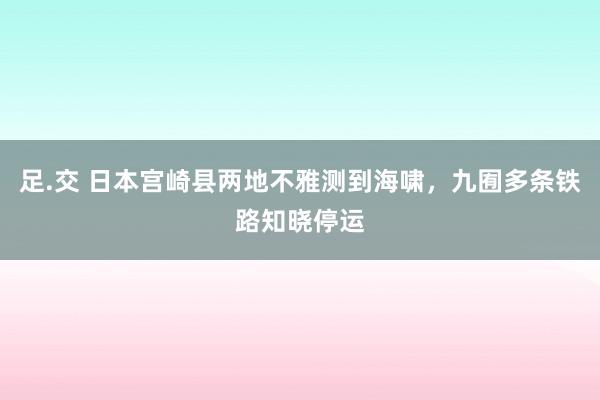 足.交 日本宫崎县两地不雅测到海啸，九囿多条铁路知晓停运