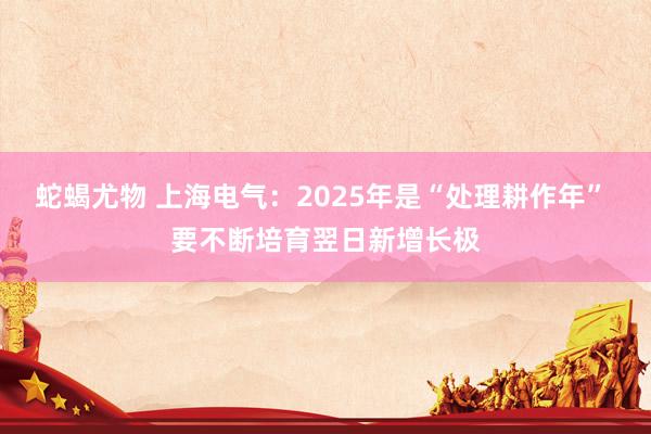 蛇蝎尤物 上海电气：2025年是“处理耕作年” 要不断培育翌日新增长极