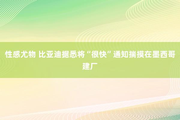 性感尤物 比亚迪据悉将“很快”通知揣摸在墨西哥建厂