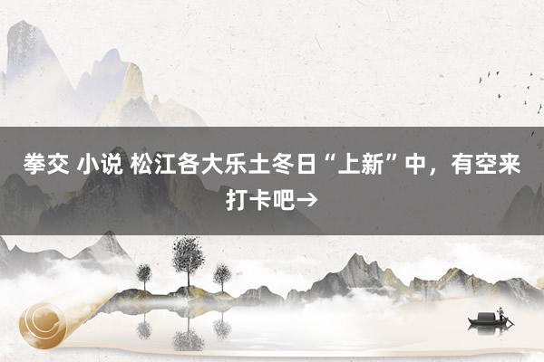 拳交 小说 松江各大乐土冬日“上新”中，有空来打卡吧→