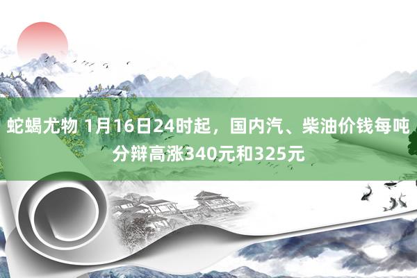 蛇蝎尤物 1月16日24时起，国内汽、柴油价钱每吨分辩高涨340元和325元