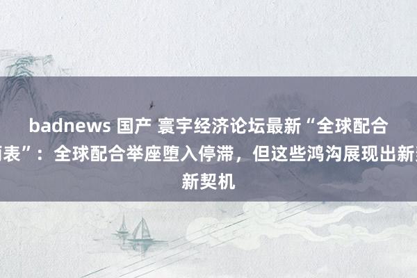 badnews 国产 寰宇经济论坛最新“全球配合晴雨表”：全球配合举座堕入停滞，但这些鸿沟展现出新契机