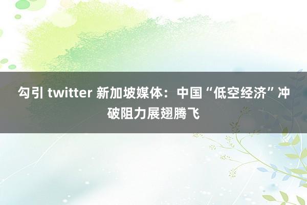 勾引 twitter 新加坡媒体：中国“低空经济”冲破阻力展翅腾飞