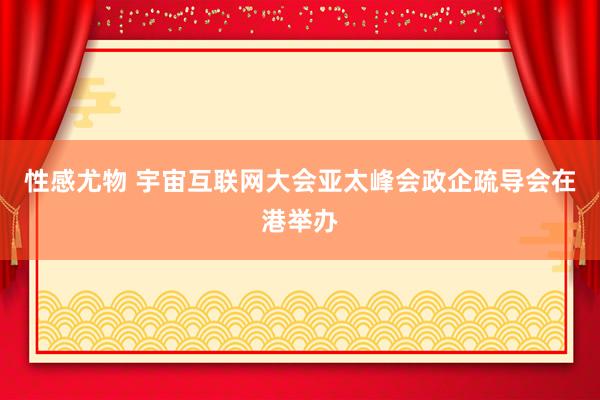 性感尤物 宇宙互联网大会亚太峰会政企疏导会在港举办