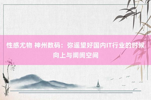 性感尤物 神州数码：弥遥望好国内IT行业的时候向上与阛阓空间